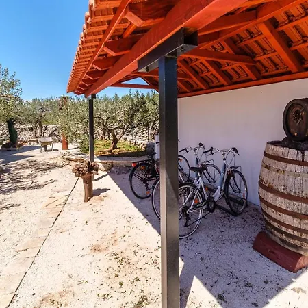 Holiday home Holiday Maslinada