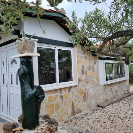 Tatil Evi Holliday 
